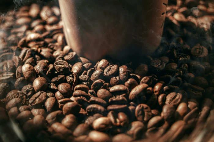 Image de SOPRALU SARL - exportateur de cacao et produits agricoles